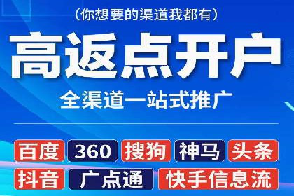 竞价广告赚钱秘籍：百度实战案例